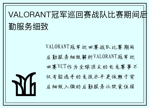 VALORANT冠军巡回赛战队比赛期间后勤服务细致