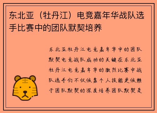 东北亚（牡丹江）电竞嘉年华战队选手比赛中的团队默契培养