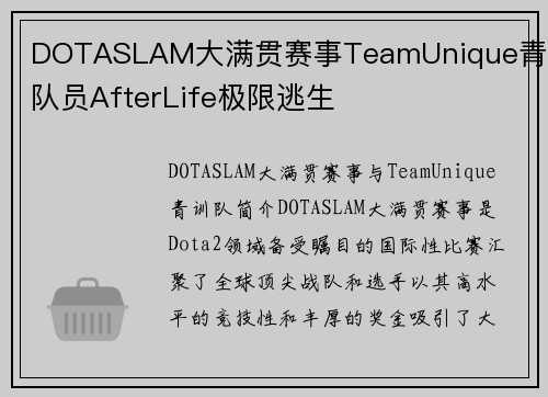 DOTASLAM大满贯赛事TeamUnique青训队员AfterLife极限逃生